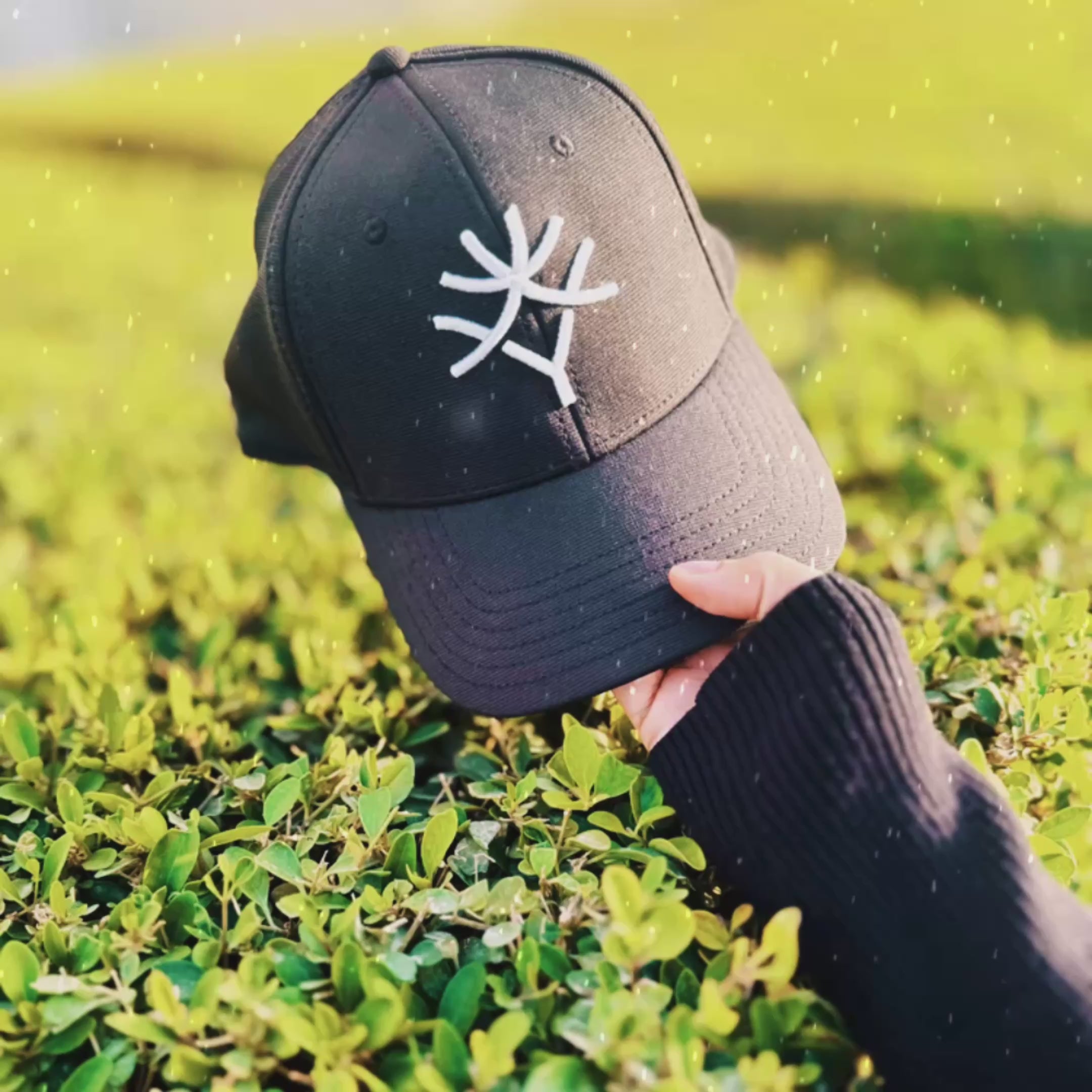 Load video: Signature Cap